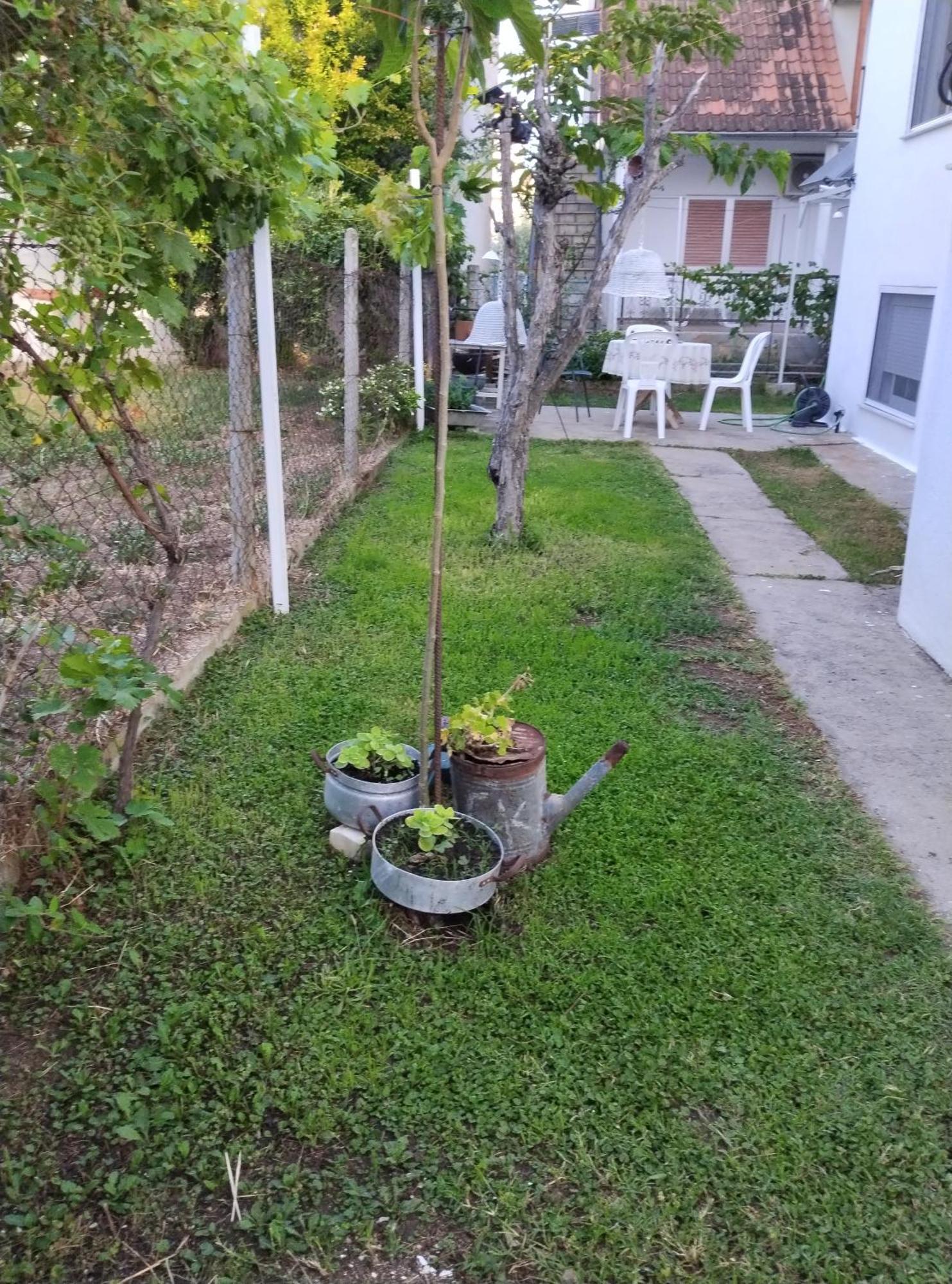 Vila Θαλασσινή Αυρα Vrasná Exteriér fotografie