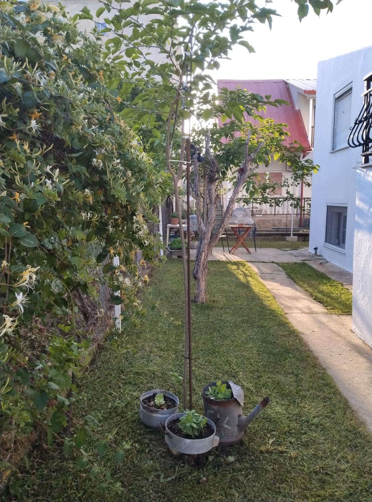 Vila Θαλασσινή Αυρα Vrasná Exteriér fotografie