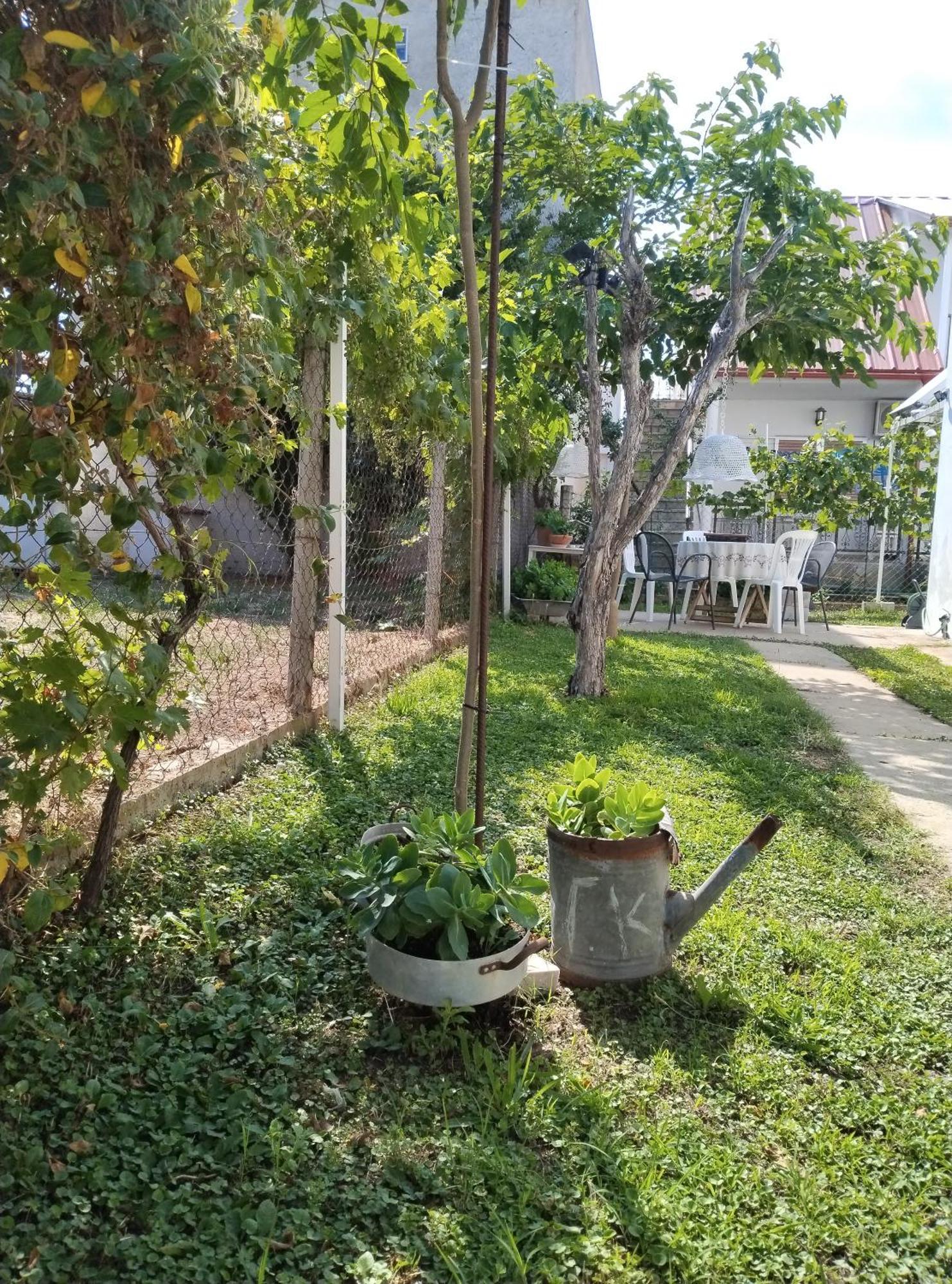 Vila Θαλασσινή Αυρα Vrasná Exteriér fotografie
